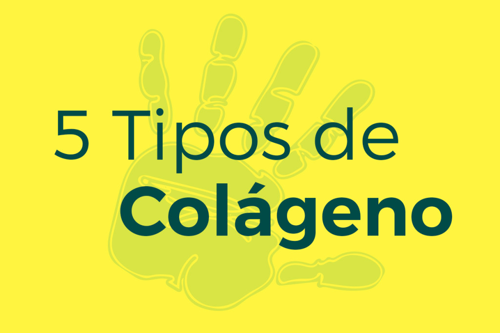 5 Tipos de colágeno