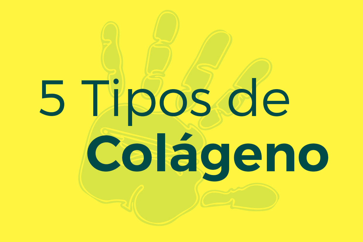 5 Tipos De Colágeno Migenacol 6223