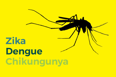 Dengue, chikungunya y zika