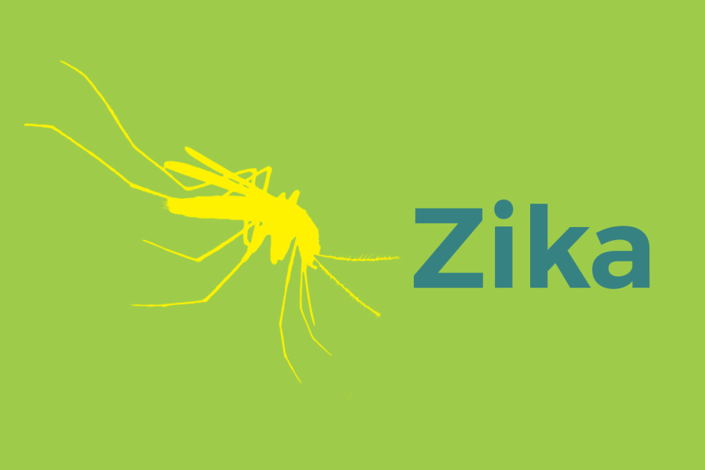 El Zika en 6 datos