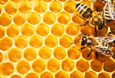 4 beneficios de la cera de abeja para tu piel