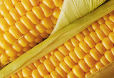 5 Beneficios del maíz